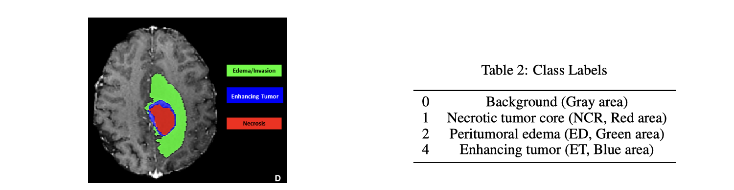Class labels legend figure from the PDF report.
