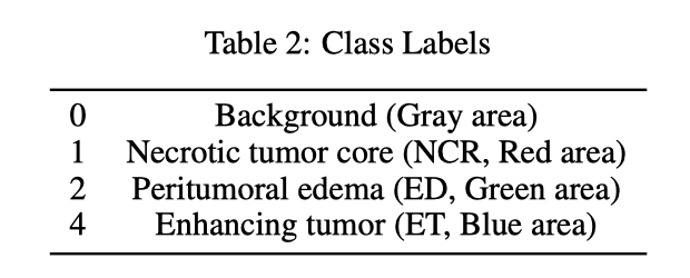 BraTS class label table from the PDF report.