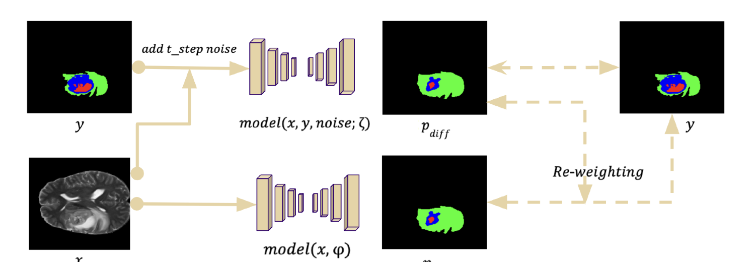 Dual-path diffusion supervision diagram from Figure 3.