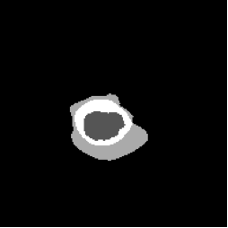 Diffusion prediction mask.